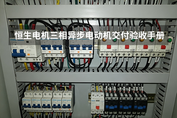 恒生电机三相异步电动机交付验收手册