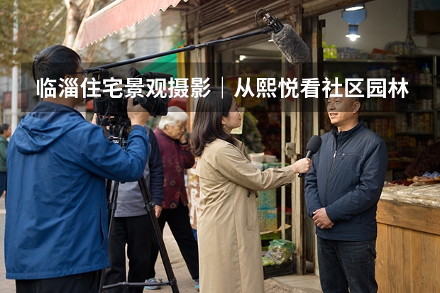 临淄住宅景观摄影｜从熙悦看社区园林为什么从&ldquo;看景&rdquo;走向&ldquo;用景&rdquo;