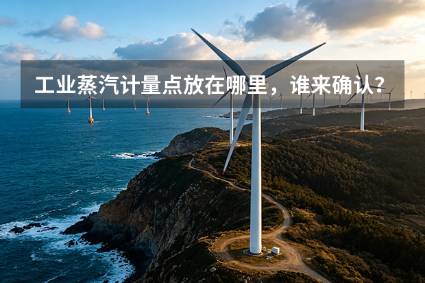 工业蒸汽计量点放在哪里，谁来确认？