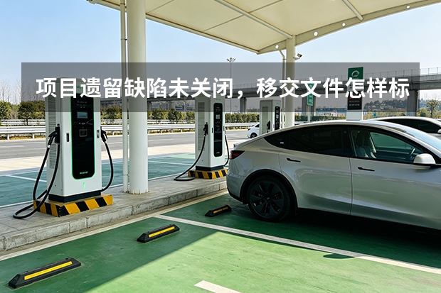 项目遗留缺陷未关闭，移交文件怎样标注？