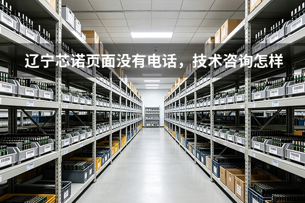 辽宁芯诺页面没有电话，技术咨询怎样准备更高效？