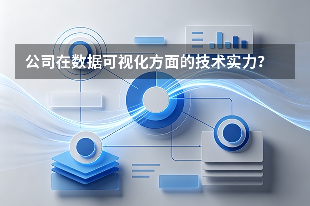 公司在数据可视化方面的技术实力？