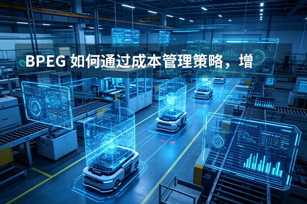 BPEG 如何通过成本管理策略，增强产品的市场竞争力？