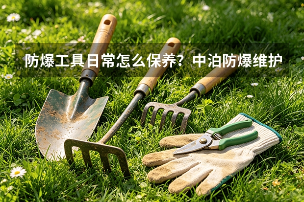 防爆工具日常怎么保养？中泊防爆维护要点汇总