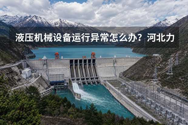液压机械设备运行异常怎么办？河北力顿液压故障排查思路